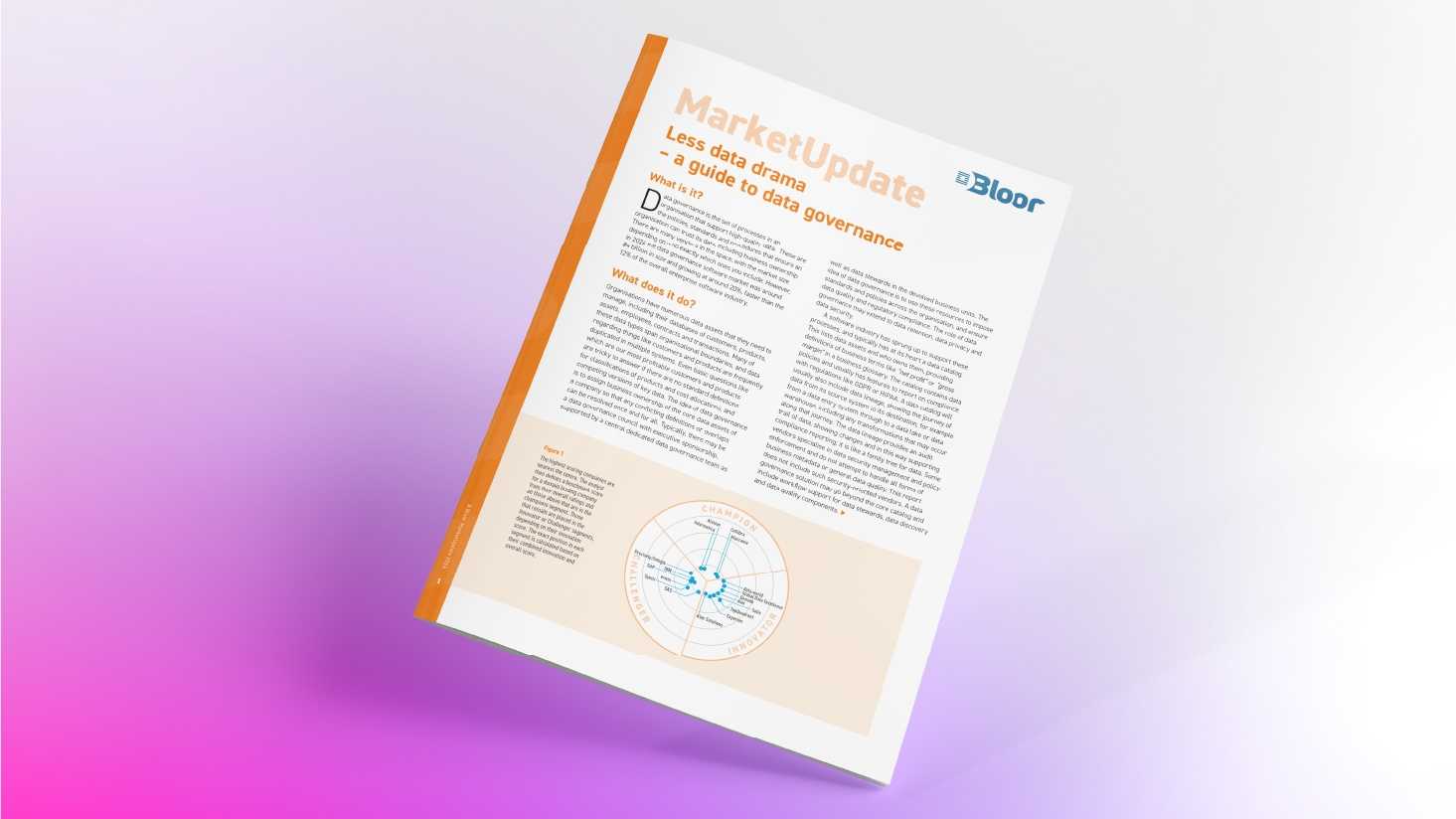 Bloor Market Update: Less data drama - A guide to data governance