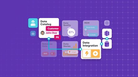 Enterprise Data Quality Fabric: A Primer