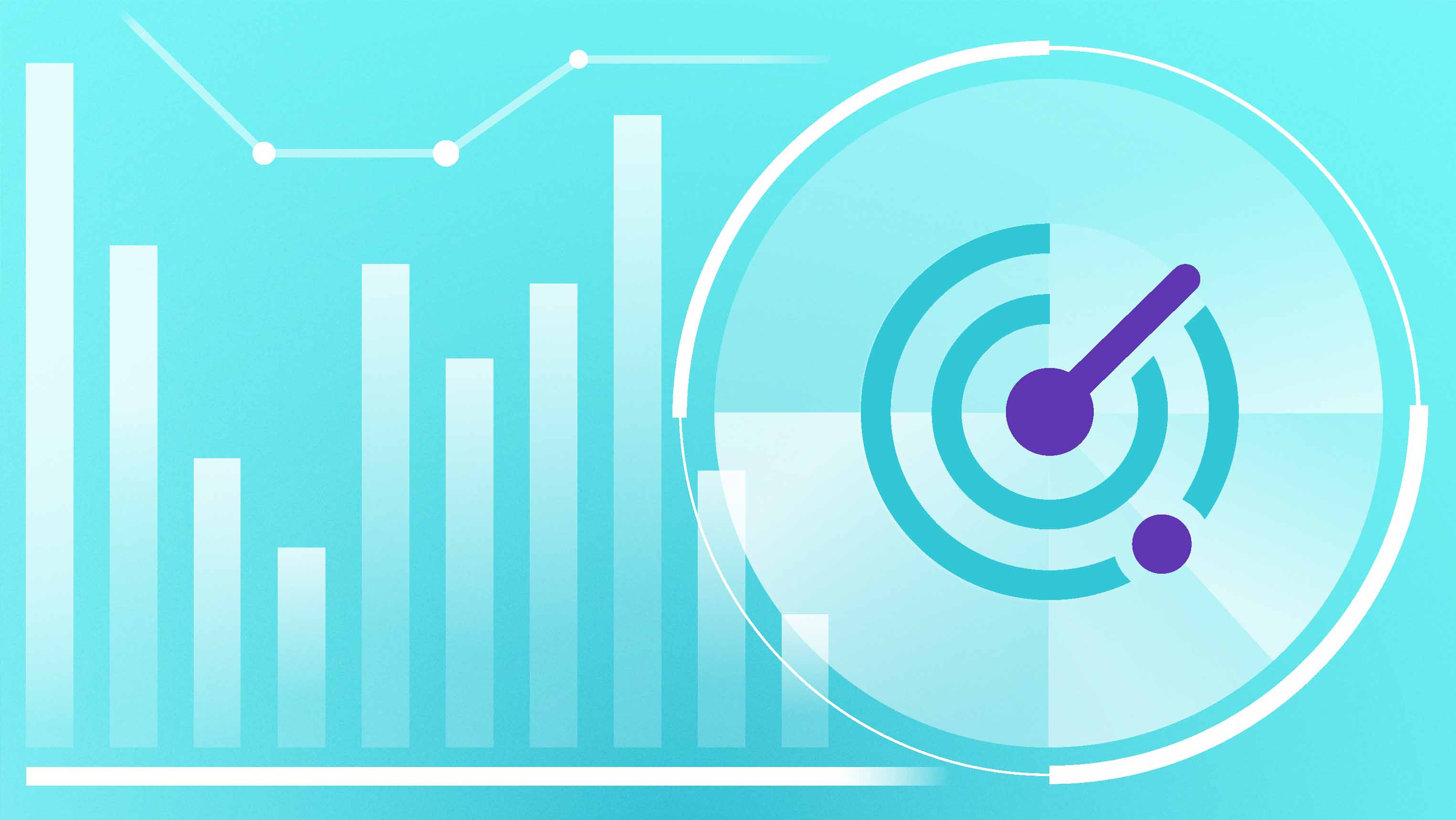 custom charts and graphs used in data profiling tools