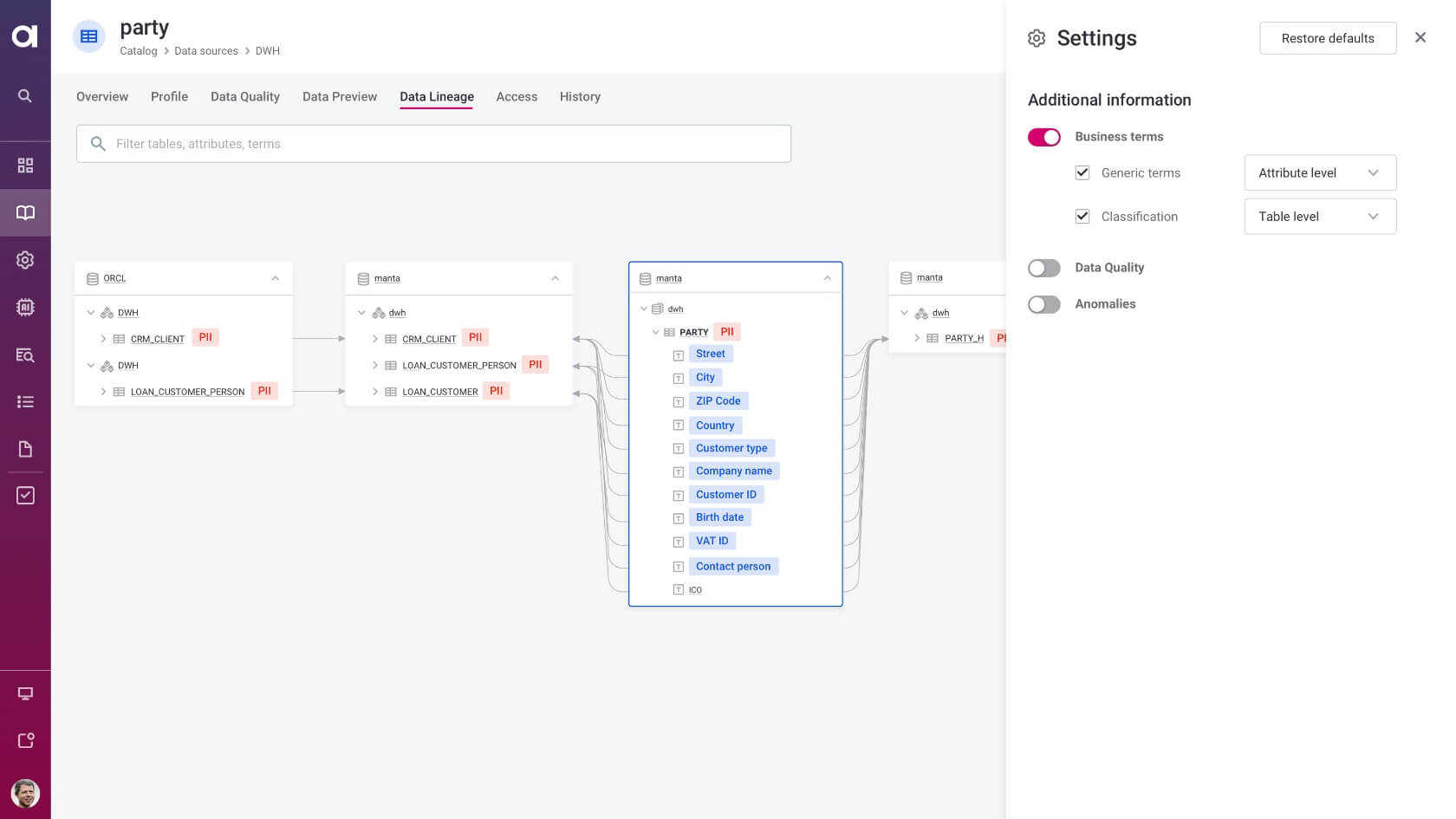 Data lineage enhanced with business terms