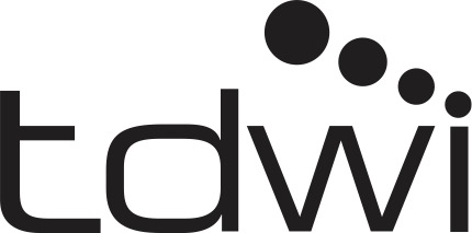 Evolving Data Strategies For Analytics Panel | TDWI San Diego